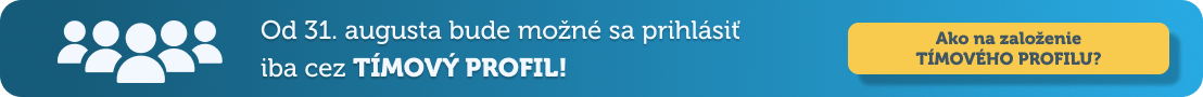 Tímový profil